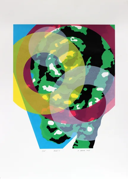 BANDiT 4, 2025, 70 x 50 cm, serigraphy