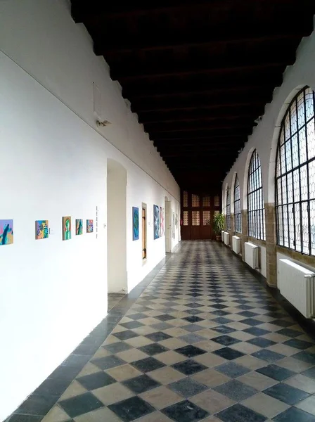 Aldin Popaja- Pictures, Gallery Felixe Jeneweina, Kutná Hora, 2016